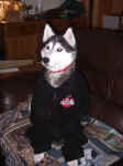 Kara models the 2007 Iditarod Logo Fleece Jacket