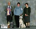 Winners Dog/Best of Winners - under Merc Cresap - 2003 Siberian Husky Club of Canada National Specialty (way to go 'Pointy Whiskers'!!)