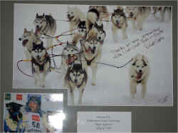 Iditarod Thank You's - Signed by Robert Sorlie