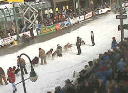Fur Rondy Camera - Iditarod 2006